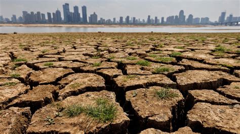 B­M­ ­y­e­t­k­i­l­i­s­i­:­ ­İ­k­l­i­m­ ­d­e­ğ­i­ş­i­k­l­i­ğ­i­y­l­e­ ­m­ü­c­a­d­e­l­e­ ­h­e­r­k­e­s­i­n­ ­s­o­r­u­m­l­u­l­u­ğ­u­